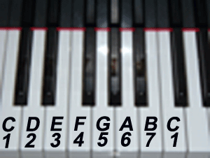 Piano Note Number Chart